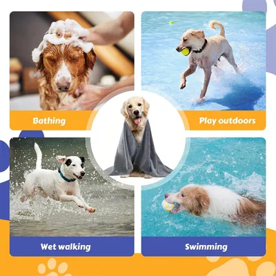 IntiMeg Serviettes d'absorption d'eau pour chien