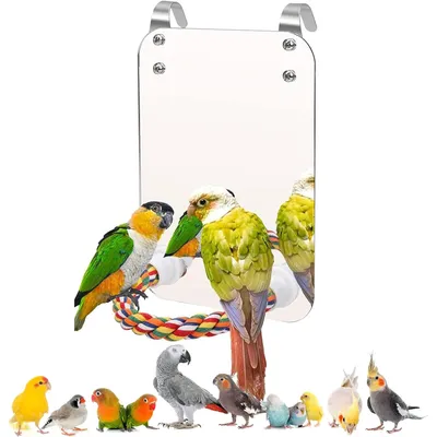 KPYTE Cage à oiseaux, corde en coton, perchoir