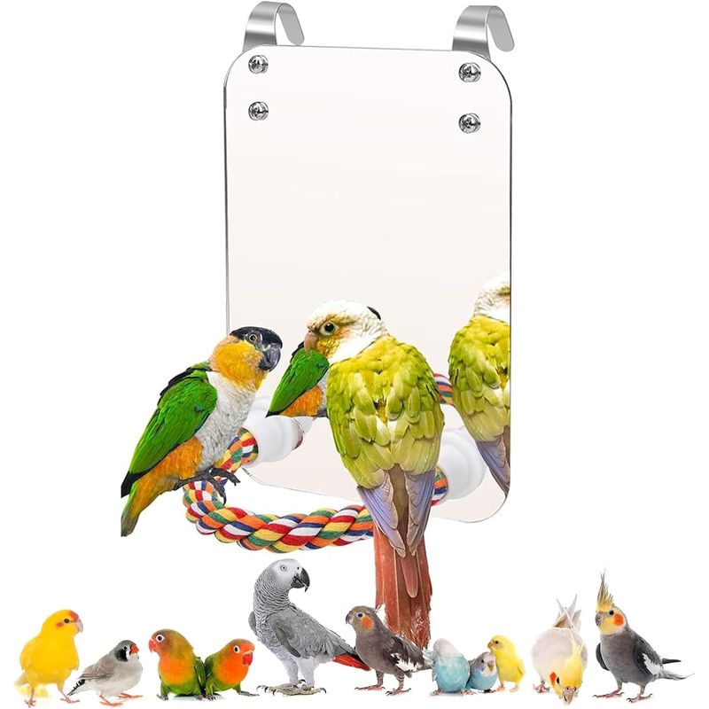 KPYTE Cage à oiseaux, corde en coton, perchoir