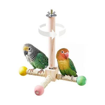 Perchoir interactif pour oiseaux, à faire tourner