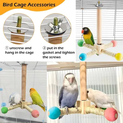 Perchoir interactif pour oiseaux, à faire tourner