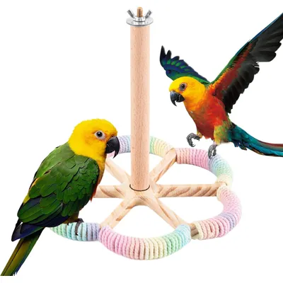 KPYTE Perchoir à oiseaux rotatif