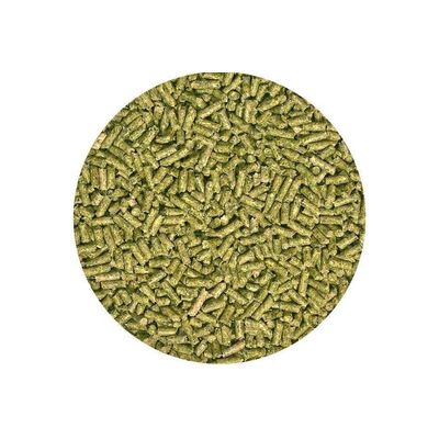 ZooMed - Iguana Food - Adulte - 2,27 kg pour l'alimentation