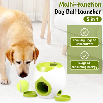 KPYTE Lanceur de balles automatique pour chiens