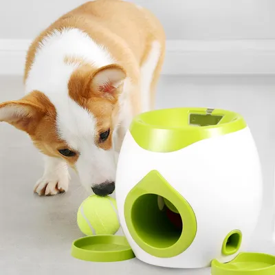 KPYTE Lanceur de balles automatique pour chiens