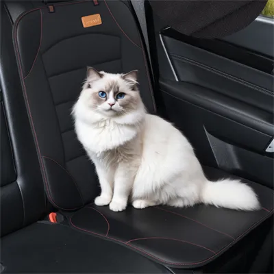 IntiMeg Tapis de protection de siège de voiture IntiMeg Tapis de protection de siège de voiture