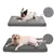IntiMeg Tapis pour chien double face - Gris