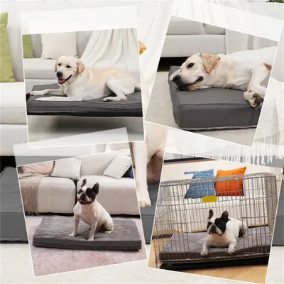 IntiMeg Tapis pour chien double face - Gris