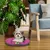 Ferplast Coussin en coton pour chiens et chats Ferplast RELAX C