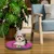 Ferplast Coussin en coton pour chiens et chats Ferplast RELAX C