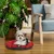 Ferplast Coussin en coton pour chiens et chats Ferplast RELAX C Ferplast Coussin en coton pour chiens et chats Ferplast RELAX C