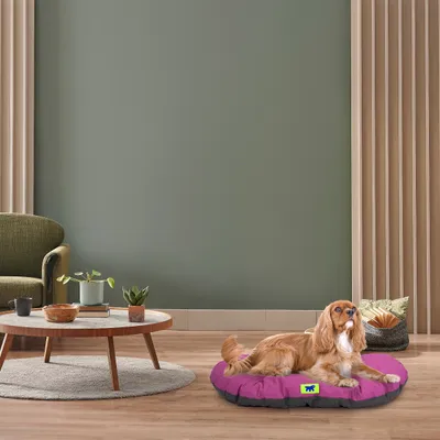 Ferplast Coussin en coton pour chiens et chats Ferplast RELAX C