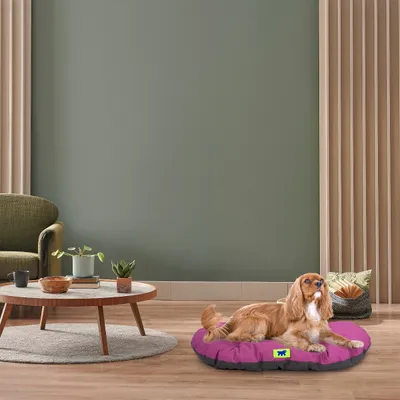 Ferplast Coussin en coton pour chiens et chats Ferplast RELAX C