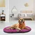 Ferplast Coussin en coton pour chiens et chats Ferplast RELAX C Ferplast Coussin en coton pour chiens et chats Ferplast RELAX C