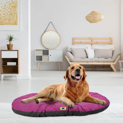 Ferplast Coussin en coton pour chiens et chats Ferplast RELAX C Ferplast Coussin en coton pour chiens et chats Ferplast RELAX C