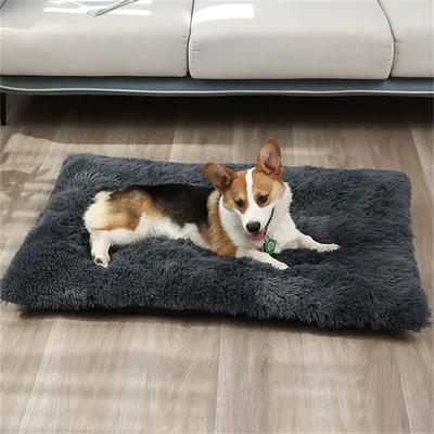 IntiMeg Colchoneta térmica para perros y gatos