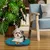Ferplast Coussin en coton pour chiens et chats Ferplast RELAX C Ferplast Coussin en coton pour chiens et chats Ferplast RELAX C
