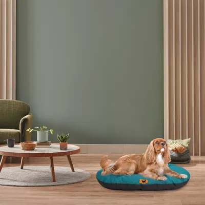 Ferplast Coussin en coton pour chiens et chats Ferplast RELAX C Ferplast Coussin en coton pour chiens et chats Ferplast RELAX C