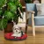 Ferplast Coussin en coton pour chiens et chats Ferplast RELAX C Ferplast Coussin en coton pour chiens et chats Ferplast RELAX C