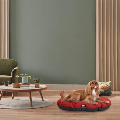Ferplast Coussin en coton pour chiens et chats Ferplast RELAX C Ferplast Coussin en coton pour chiens et chats Ferplast RELAX C