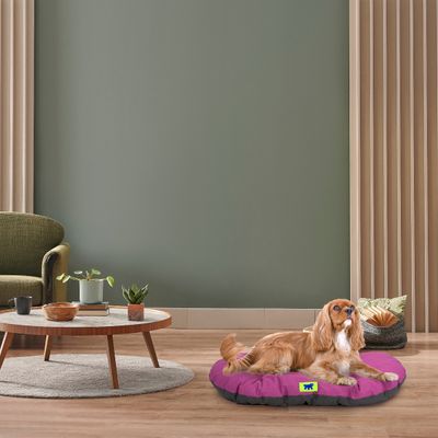 Ferplast Coussin en coton pour chiens et chats Ferplast RELAX C