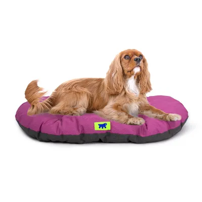 Ferplast Coussin en coton pour chiens et chats Ferplast RELAX C