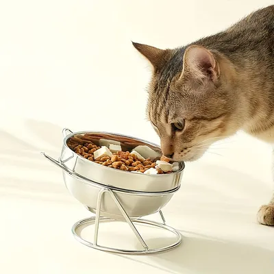 KPYTE Gamelle pour chat en acier inoxydable