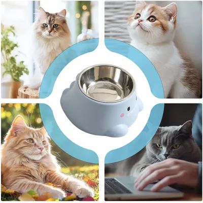 Gamelle à eau pour chat, 250ml