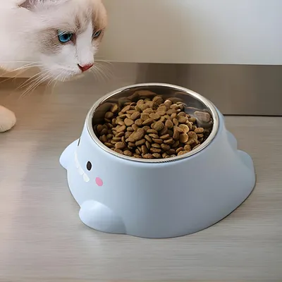 Gamelle à eau pour chat, 250ml