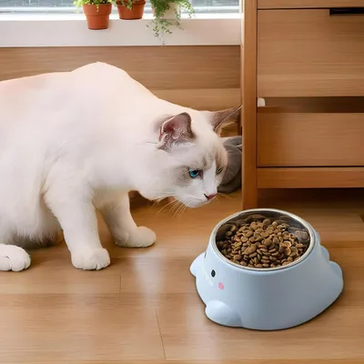 Gamelle à eau pour chat, 250ml