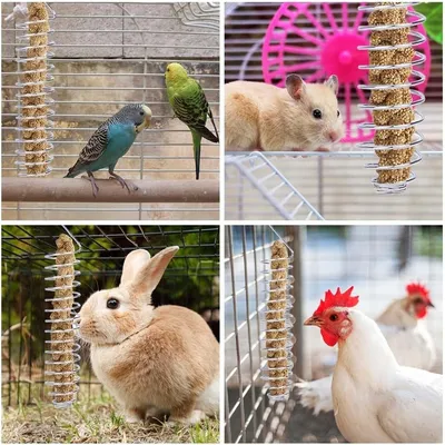 Supports pour mangeoires à oiseaux