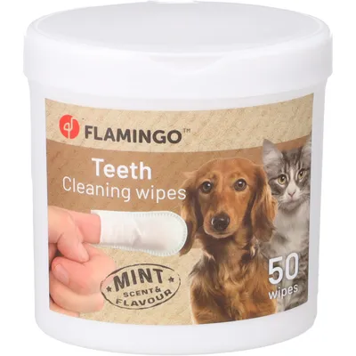 Flamingo - Lingettes nettoyage dents Reini 50 doigts à la menthe pour chat