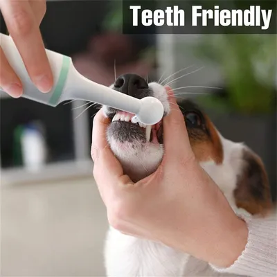 IntiMeg Brosse à Dents Électrique pour Animaux