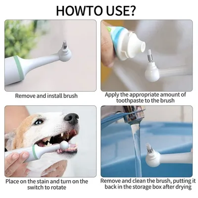 IntiMeg Brosse à Dents Électrique pour Animaux