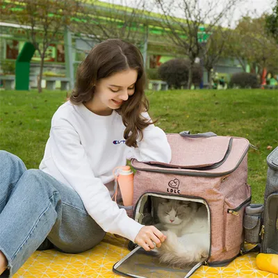 IntiMeg Sac de transport pour chat rose clair
