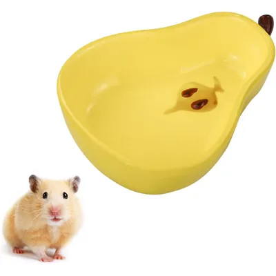 KPYTE Gamelle en céramique pour hamster
