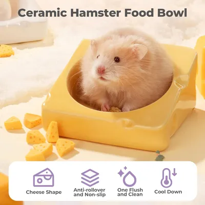 KPYTE Bol en céramique pour hamster