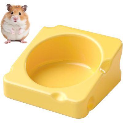 KPYTE Bol en céramique pour hamster