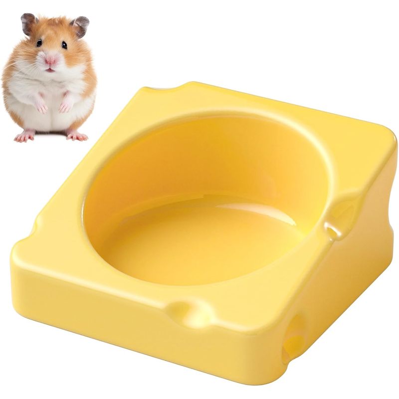 KPYTE Bol en céramique pour hamster