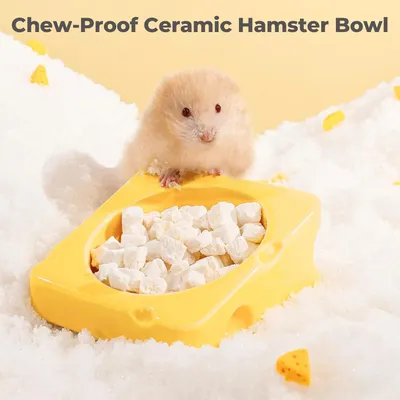 KPYTE Bol en céramique pour hamster