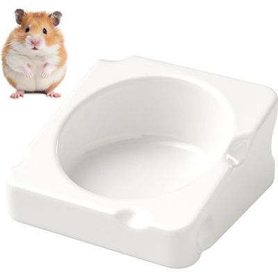 KPYTE Bol en céramique pour hamster