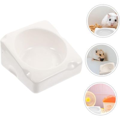 KPYTE Bol en céramique pour hamster