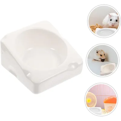 KPYTE Bol en céramique pour hamster