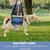 IntiMeg support de chien pour chien d'arthrite