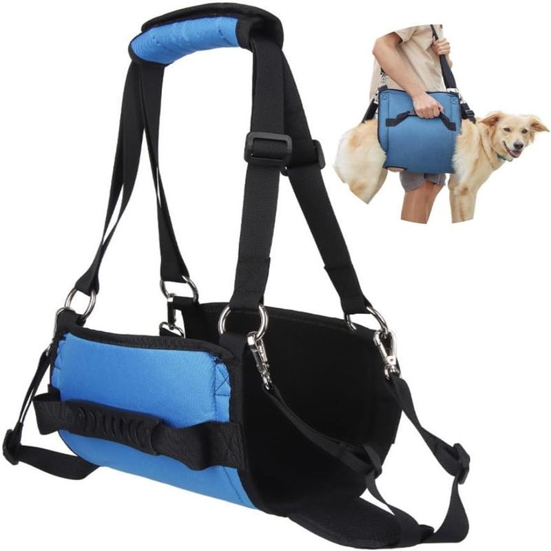 IntiMeg support de chien pour chien d'arthrite