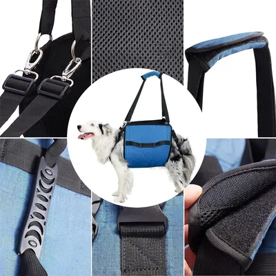 IntiMeg Harnais de soutien pour chiens âgés ou souffrant d'arthrose