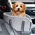 IntiMeg Siège de voiture pour chien sur console