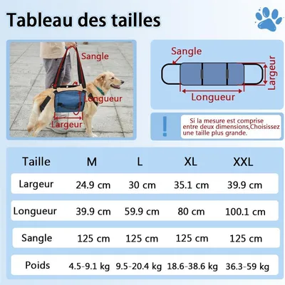 IntiMeg support de chien pour chien d'arthrite