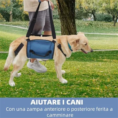 IntiMeg support de chien pour chien d'arthrite