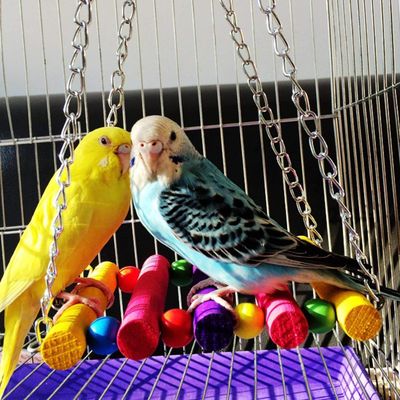 KPYTE Ensemble de jouets d'oiseaux suspendus